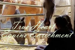 Cedar Rapids summer camps